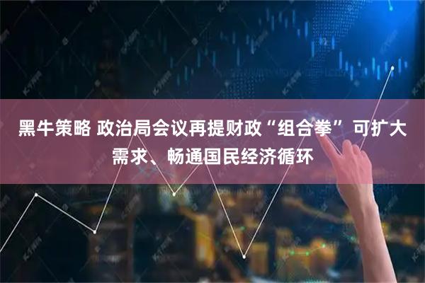 黑牛策略 政治局会议再提财政“组合拳” 可扩大需求、畅通国民经济循环