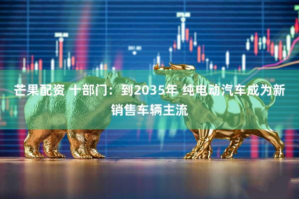 芒果配资 十部门：到2035年 纯电动汽车成为新销售车辆主流