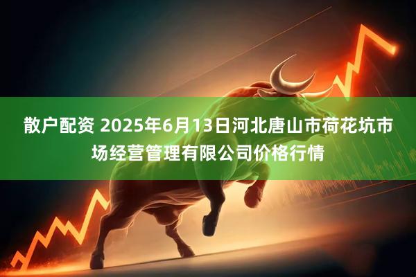 散户配资 2025年6月13日河北唐山市荷花坑市场经营管理有限公司价格行情