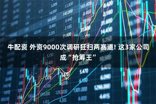牛配资 外资9000次调研狂扫两赛道! 这3家公司成“抢筹王”