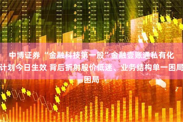 中博证券 “金融科技第一股”金融壹账通私有化计划今日生效 背后折射股价低迷、业务结构单一困局