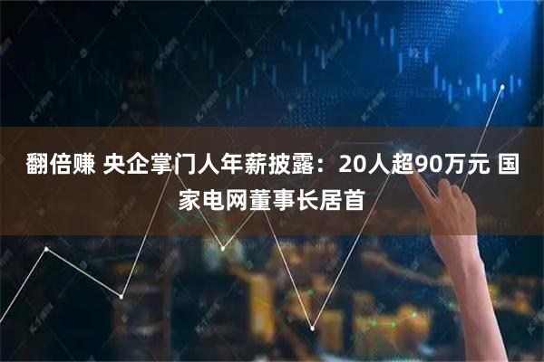 翻倍赚 央企掌门人年薪披露：20人超90万元 国家电网董事长居首